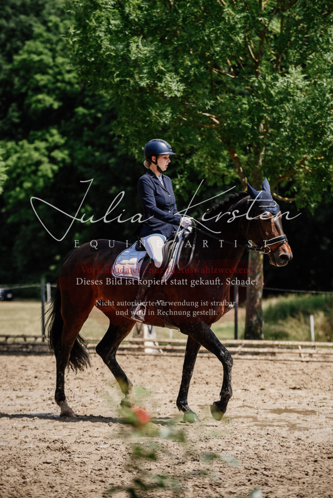 DSC_1519 | Pferde- und Turnierfotografie in Westsachsen. Pferdeportraits, Auftragszeichnungen und intuitive Kunst.
