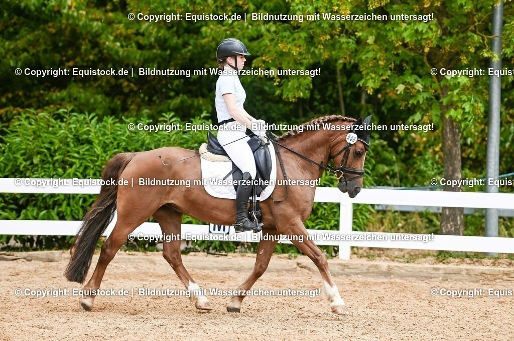 20230715_05_Dressurprüfung Kl.A++_0210 | equistock