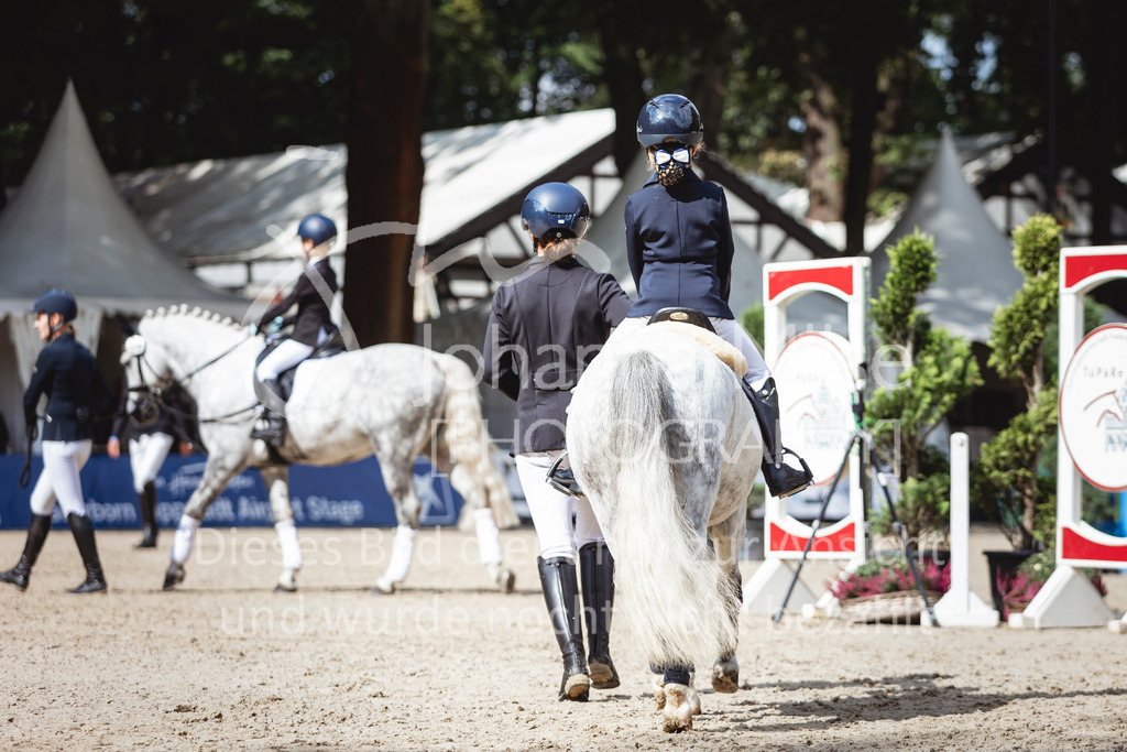 240915_OWLCh_FuehrzuegelWB-641 | Deine schönsten Turniermomente als professionelle Fotos! Entdecke hochwertige Pferdesport-Fotografie im Online-Shop. Jetzt Fotos finden & bestellen!
