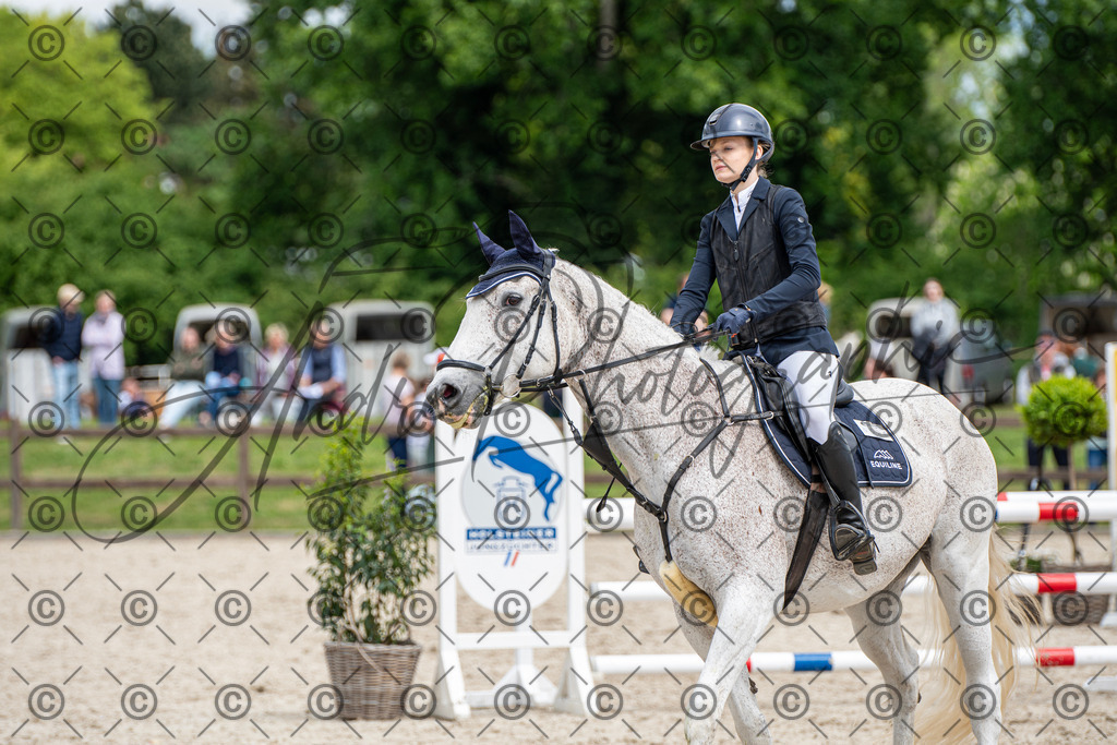 KPT_5394 | andre_photographic