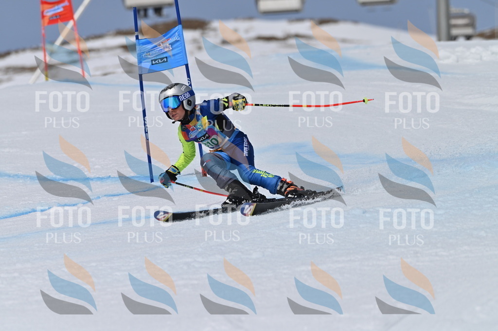 BGV_6146 | holidayphoto