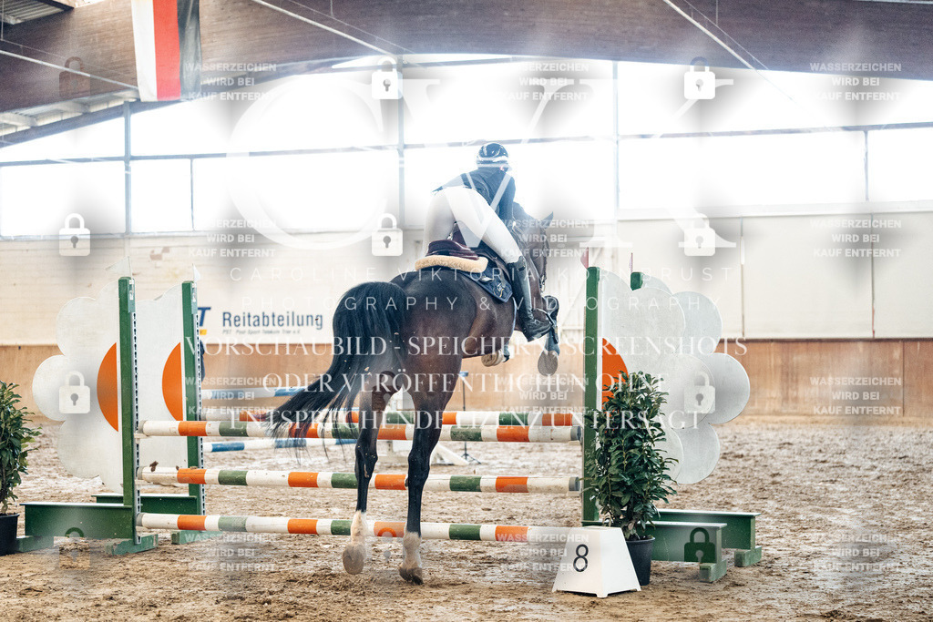CK904585 | Turnierfotografie Pferdefotografie Trier Rheinland-Pfalz Pferdesport Reitsport Tierfotografie Sportfotografie Pferdevideo Pferdevideografie Equestrianvideography equestrianphotography  - Realized with Pictrs.com