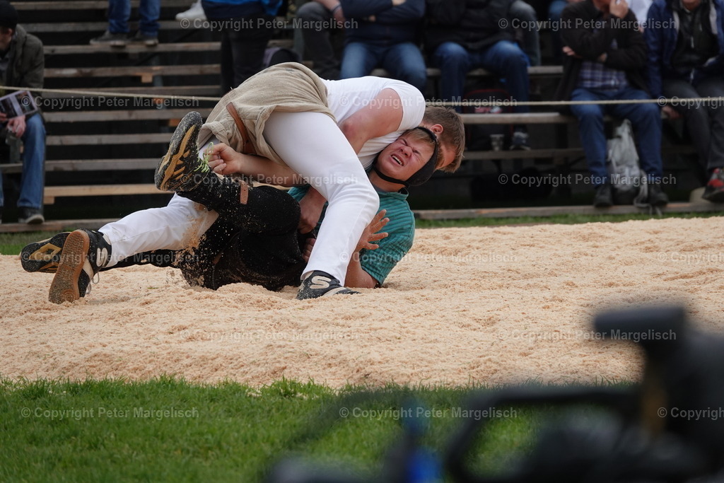 DSC03235 | Schwingen - Realisiert mit Pictrs.com