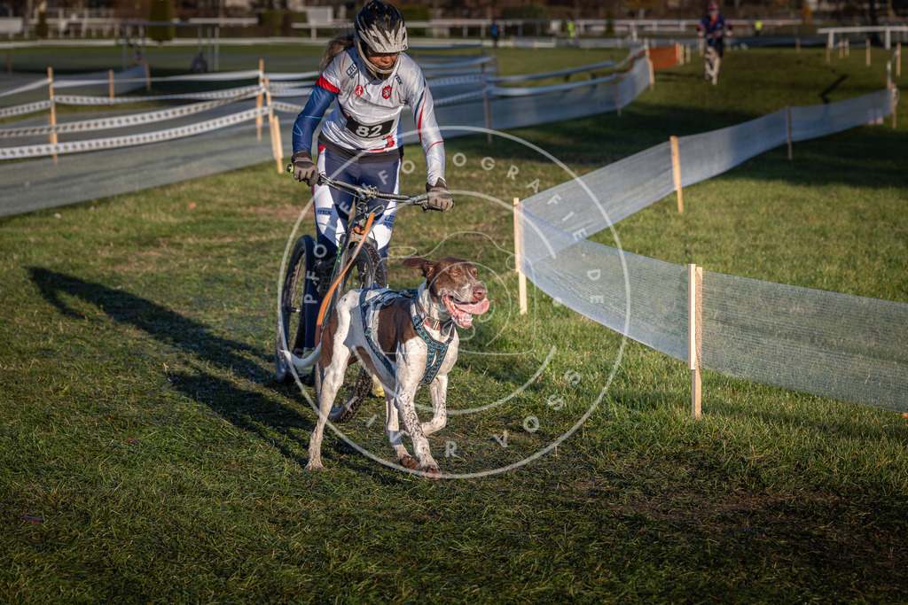 CaniXpix_0L8A3739 | Hundefotografie, Tierfotograf, Pfotenfotografie, Fotoshooting Hund, Hunde Portrait, Hundesport, Hundeportraits, Heideshooting, Hunde, Sportfotograf, Hundefotograf, Turnierhundsport, THS,  - Realisiert mit Pictrs.com