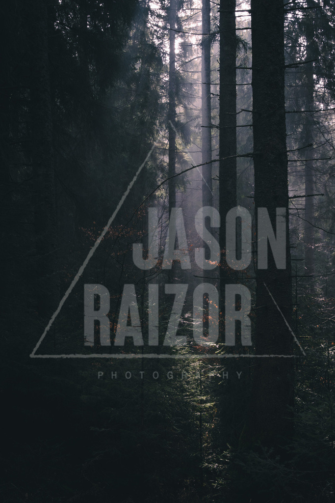 Licht und Schatten | jasonraizor - Realisiert mit Pictrs.com