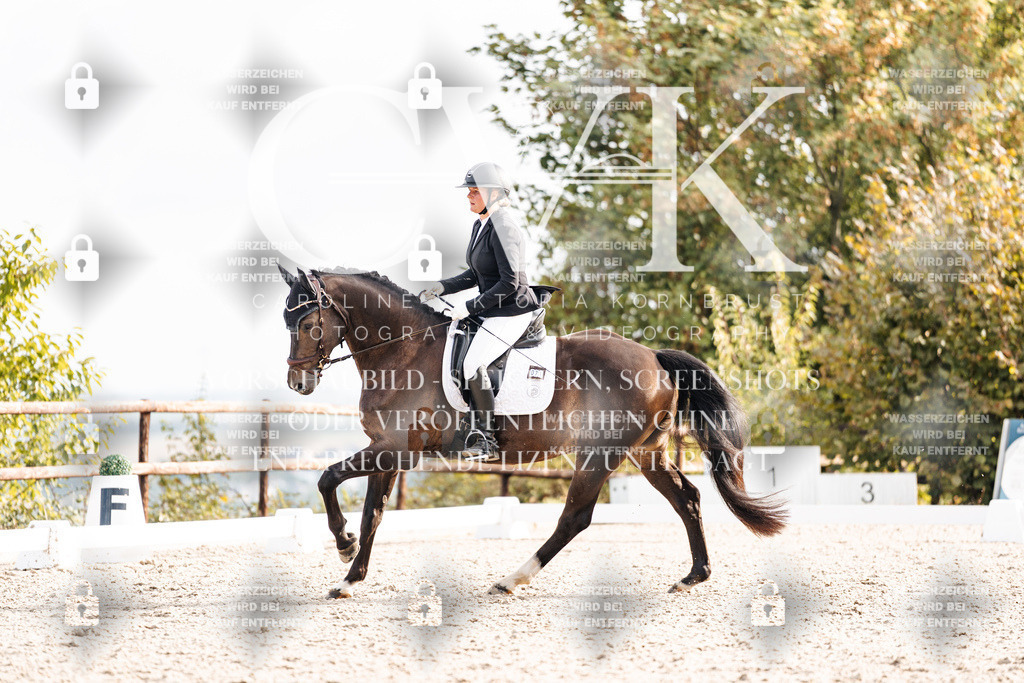 CK901262 | Turnierfotografie Pferdefotografie Trier Rheinland-Pfalz Pferdesport Reitsport Tierfotografie Sportfotografie Pferdevideo Pferdevideografie Equestrianvideography equestrianphotography  - Realisiert mit Pictrs.com
