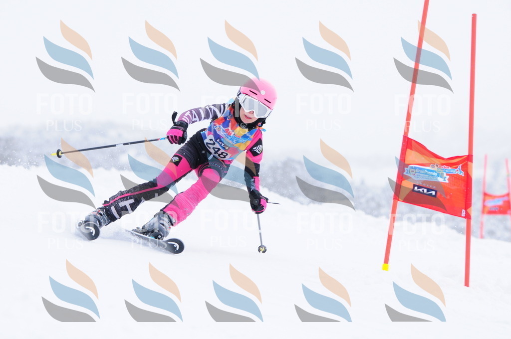 C2603 | holidayphoto