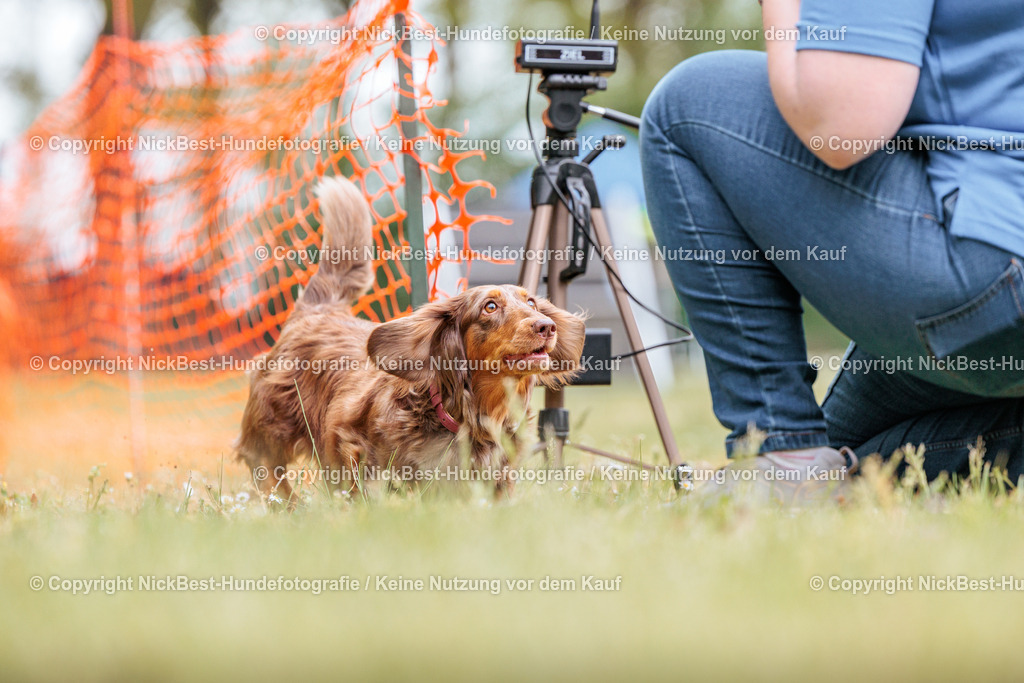 Sage Hunderennen Frühlingsfest-2026-Nickbest-Hundefotografie-0784 | Dein Hund! Dein Moment! Deine Erinnerungen! Hundefotografie in Bremen Blumenthal. Ich fange die besonderen Momente deines Vierbeiners ein – ob Indoor mit Blitzanlage oder in der freien Natur. Sicher dir dein Moment und dein Termin für eure Erinnerungen.