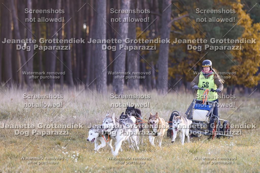 Dog Paparazzi - Elsholz 25 -23 | Dog Paparazzi Jeanette Grottendiek Fotografie & Videografie - Realisiert mit Pictrs.com