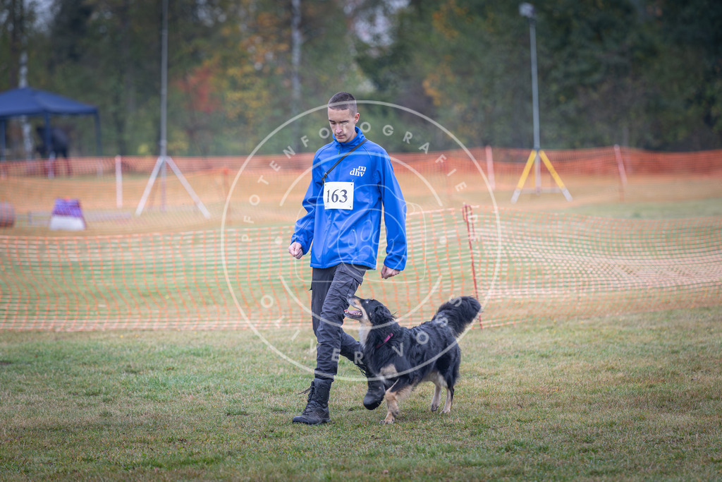 Pfotenfotografie_DV3A8855 | Hundefotografie, Tierfotograf, Pfotenfotografie, Fotoshooting Hund, Hunde Portrait, Hundesport, Hundeportraits, Heideshooting, Hunde, Sportfotograf, Hundefotograf, Turnierhundsport, THS,  - Realisiert mit Pictrs.com