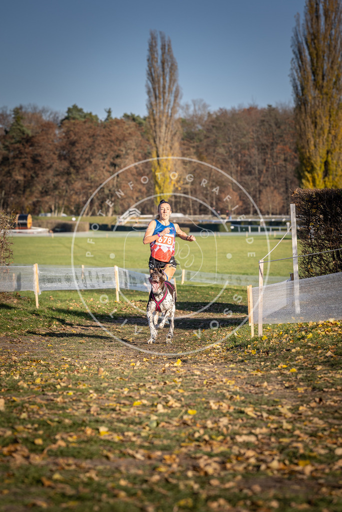CaniXpix_DV3A1012 | Hundefotografie, Tierfotograf, Pfotenfotografie, Fotoshooting Hund, Hunde Portrait, Hundesport, Hundeportraits, Heideshooting, Hunde, Sportfotograf, Hundefotograf, Turnierhundsport, THS,  - Realisiert mit Pictrs.com