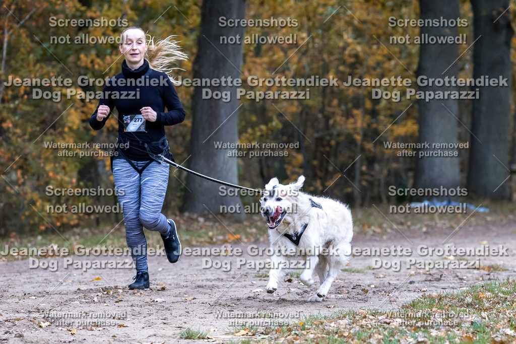 Dog Paparazzi - SD CaniX Championship 2025-555 | Dog Paparazzi Jeanette Grottendiek Fotografie & Videografie - Realisiert mit Pictrs.com