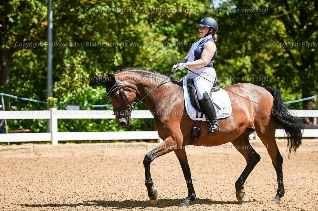 20230715_02_Dressurreiterprüfung Kl.L_0006 | equistock