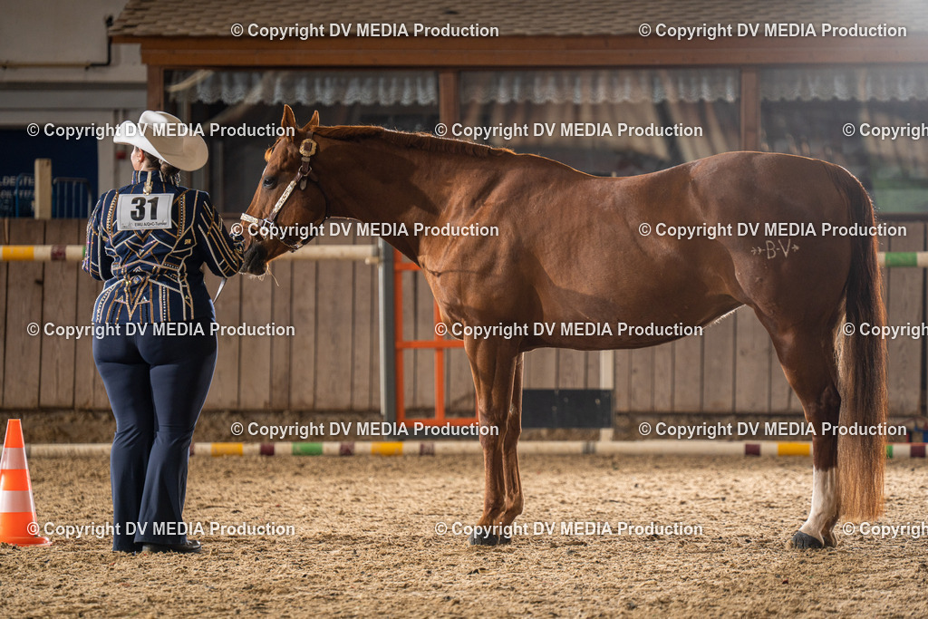 Zeiskam Tag 1-114 | dv-media-shop - Realisiert mit Pictrs.com