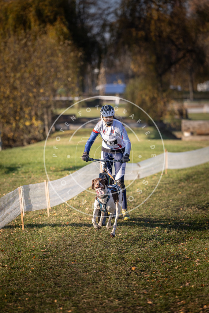 CaniXpix_DV3A1588 | Hundefotografie, Tierfotograf, Pfotenfotografie, Fotoshooting Hund, Hunde Portrait, Hundesport, Hundeportraits, Heideshooting, Hunde, Sportfotograf, Hundefotograf, Turnierhundsport, THS,  - Realisiert mit Pictrs.com