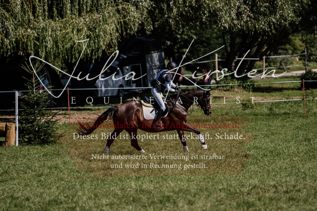 DSC_1467 | Pferde- und Turnierfotografie in Westsachsen. Pferdeportraits, Auftragszeichnungen und intuitive Kunst.