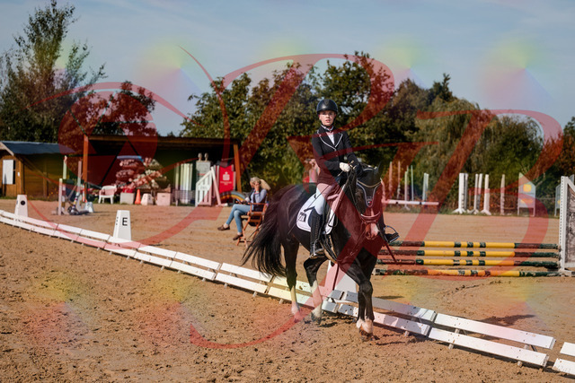 2026_10_03_Siefer-Hof_121654_Z63_40516307 | Professionelle Reitsport-, Turnier- und Eventfotografie von Robert Broda. Galerien mit ausgewählten und bearbeiteten Bildern direkt online ansehen und bestellen.