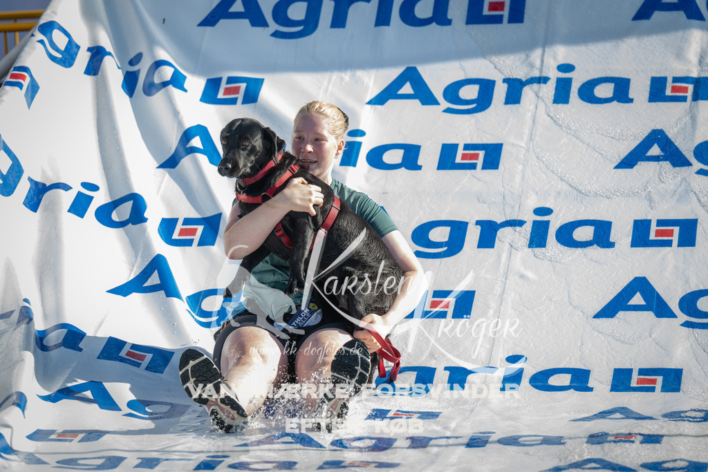 0931_ZZ96182 | kk-dogfotos