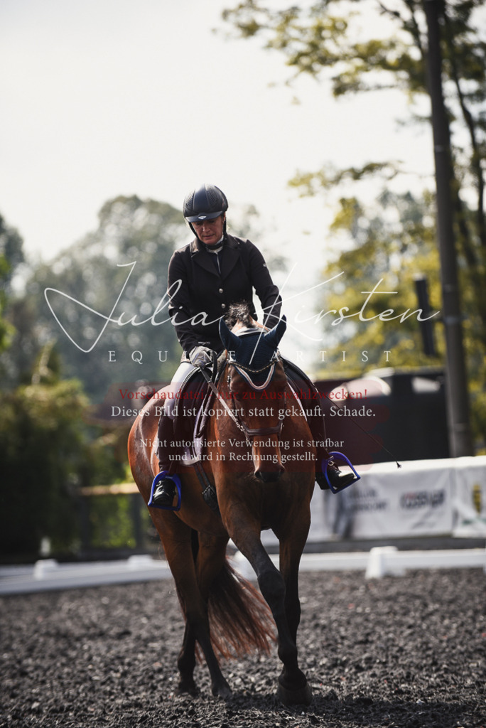 DSC_3680 | Pferde- und Turnierfotografie in Westsachsen. Pferdeportraits, Auftragszeichnungen und intuitive Kunst.