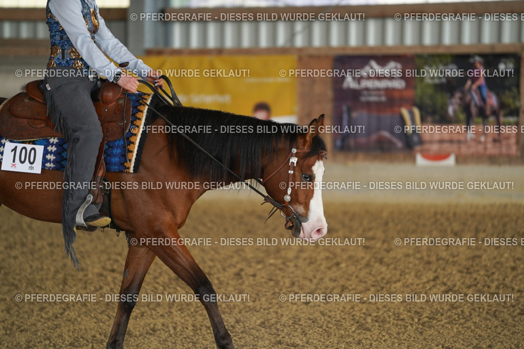 DSC07920 | Pferdegrafie