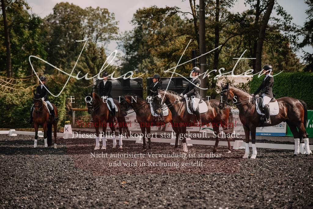 DSC_5126 | Pferde- und Turnierfotografie in Westsachsen. Pferdeportraits, Auftragszeichnungen und intuitive Kunst.