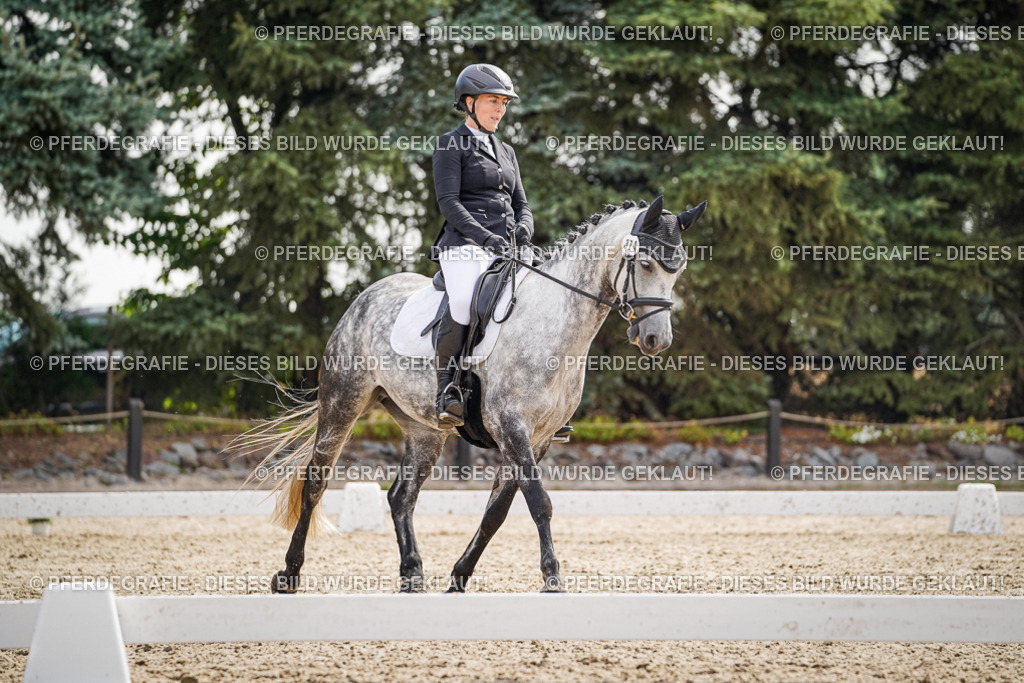 DSC07693 | Pferdegrafie