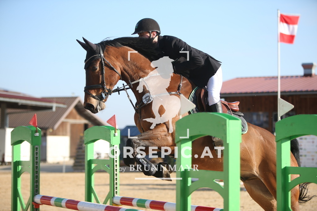 AS8V4823 | Willkommen bei Brunnmayr - Design & Fotografie – Ihrem Spezialisten für Reitturniere und Pferdeveranstaltungen in Oberösterreich, Salzburg und Bayern! Seit über 17 Jahren sind wir leidenschaftlich dabei.