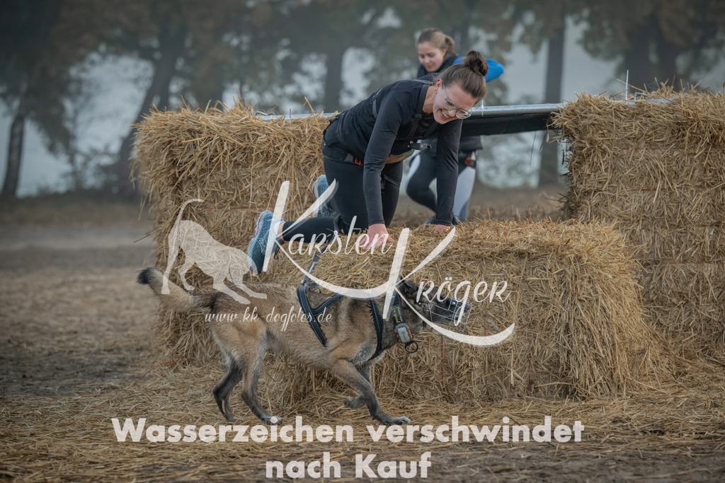 0818_ZZ97629 | kk-dogfotos