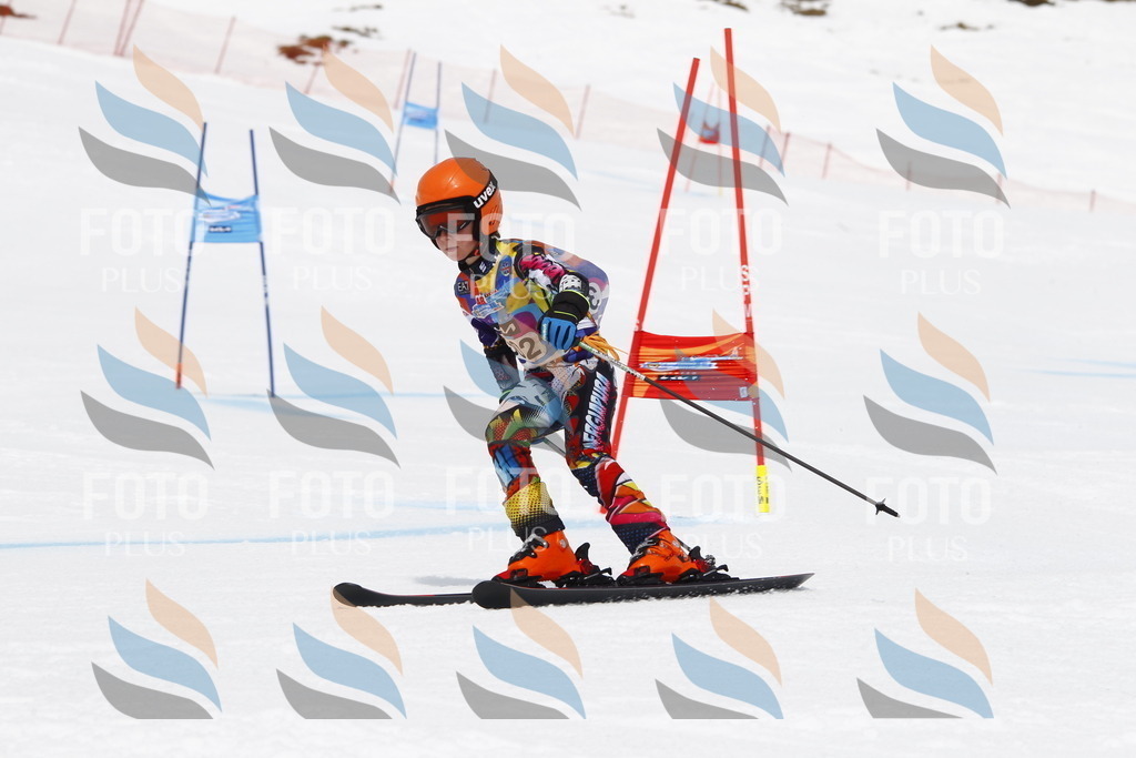 _U3G7528 | holidayphoto