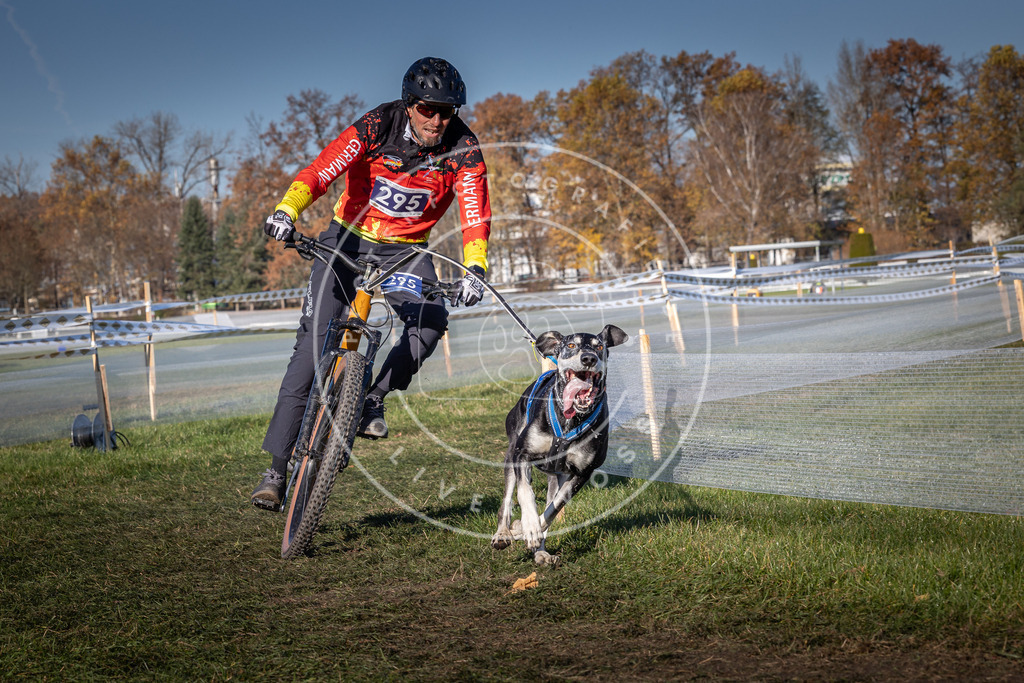 CaniXpix_0L8A5407 | Hundefotografie, Tierfotograf, Pfotenfotografie, Fotoshooting Hund, Hunde Portrait, Hundesport, Hundeportraits, Heideshooting, Hunde, Sportfotograf, Hundefotograf, Turnierhundsport, THS,  - Realisiert mit Pictrs.com