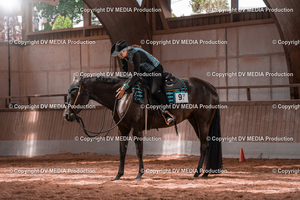 NE100481 | dv-media-shop - Realisiert mit Pictrs.com