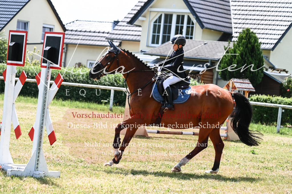 DSC_9680 | Pferde- und Turnierfotografie in Westsachsen. Pferdeportraits, Auftragszeichnungen und intuitive Kunst.