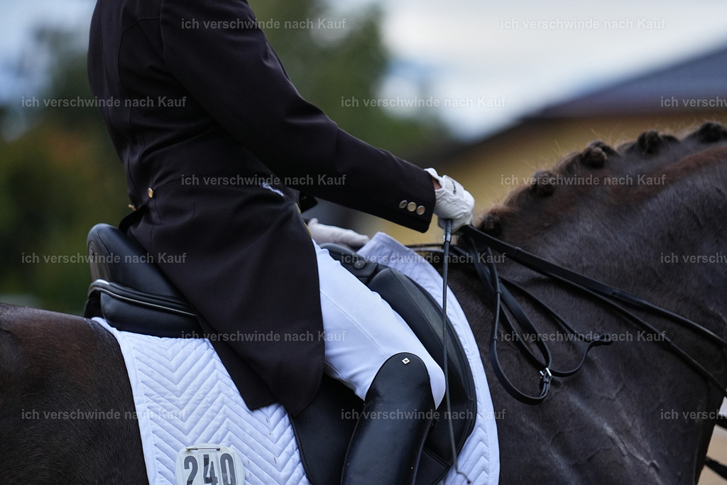8_2-240-DRESSUR S_  -Marixx-4614 | working equitationturnier fotograf videograf stoibphotography marixx film working equitation deutschland reitsport turnierfotografie eventfotografie equestrian events