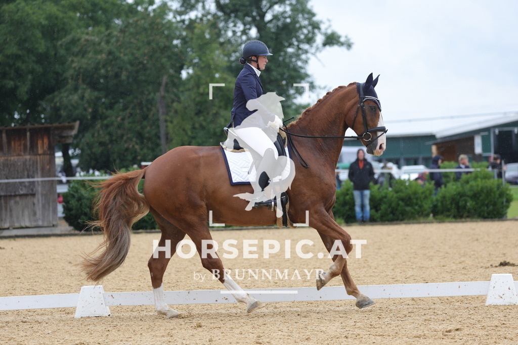 0P6A0017 | Willkommen bei Brunnmayr - Design & Fotografie – Ihrem Spezialisten für Reitturniere und Pferdeveranstaltungen in Oberösterreich, Salzburg und Bayern! Seit über 17 Jahren sind wir leidenschaftlich dabei.
