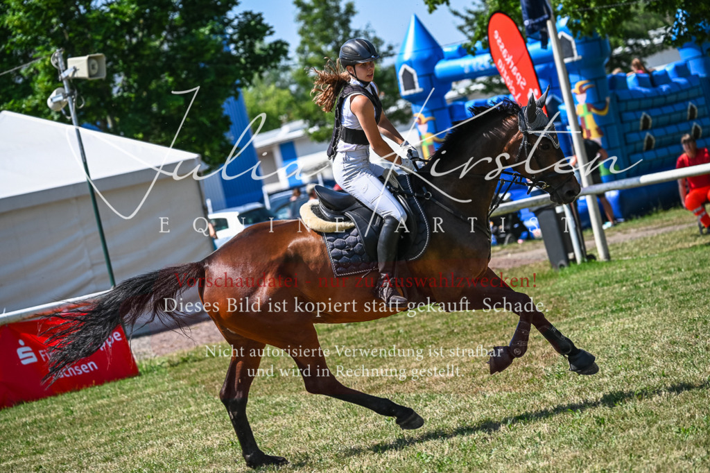 DSC_1064 | Pferde- und Turnierfotografie in Westsachsen. Pferdeportraits, Auftragszeichnungen und intuitive Kunst.