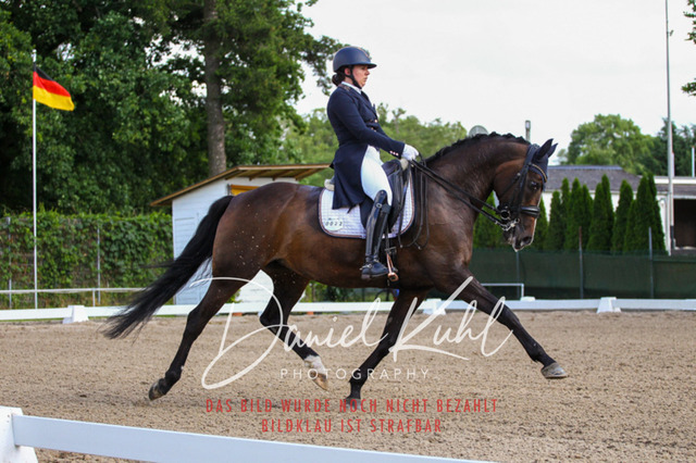 DKP41359 | Turnierfotos kaufen im Webshop von Daniel Kuhl Photography – entdecke professionelle Reitsportfotos aus Turnieren & Events. Hochwertige Turnierbilder online bestellen & sichern. Jetzt Fotos von Reitsportturnieren kaufen!