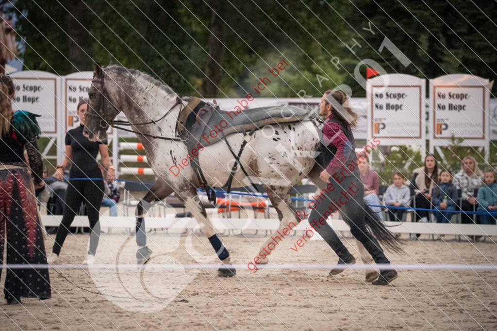 DSC_0102 | Sport-, Event- und Tierfotos in Profiqualität. Einfach auswählen, bestellen und herunterladen. Dein Moment – perfekt festgehalten.