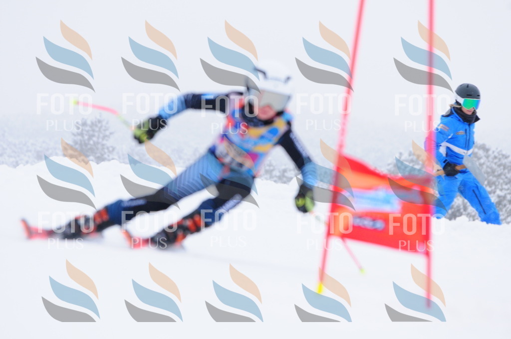 C3328 | holidayphoto