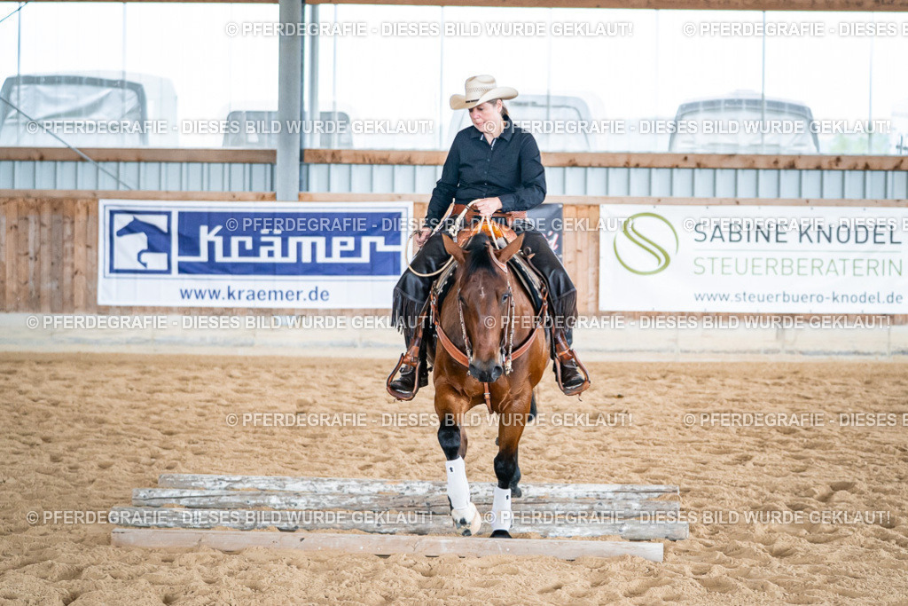 DSC03670 | Pferdegrafie