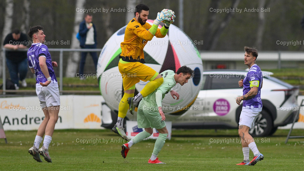 VfR Neumünster (lila) vs PSV Neumünster (grün) | Nick Neca (VfR #17) &amp; Christopher Newe (VfR #25) &amp; Kenny Korup (VfR #4) vs Jesper Tiedemann (PSV #11) / Fußball-Oberliga Männer 2025/2026 / VfR Neumünster (lila) vs PSV Neumünster (grün) / Grümmi-Arena / Neumünster / 15.04.26 - Realisiert mit Pictrs.com