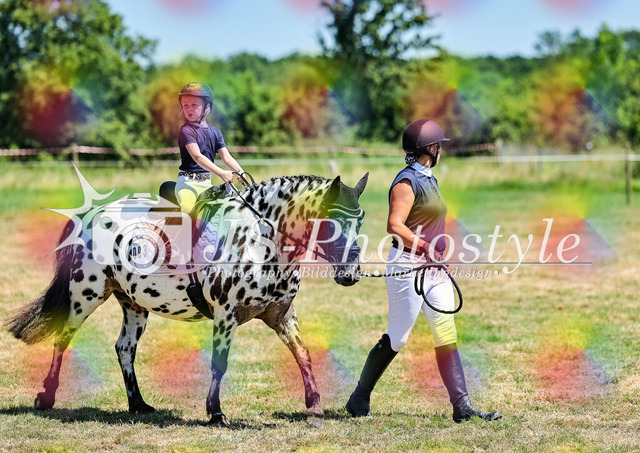 20260628_1_Führzügel-WB_C-C-5 | JS-Photostyle - Sport-/Portrait- & Eventfotografie