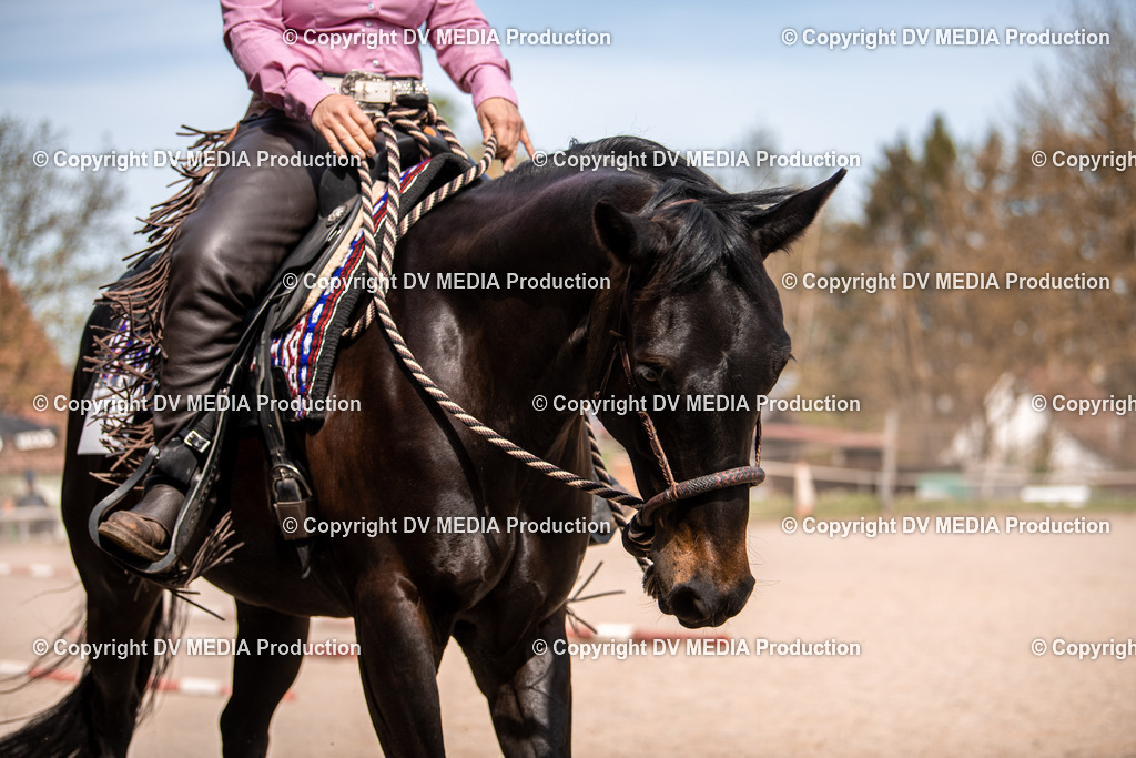 Balingen Tag 5-382 | dv-media-shop - Realisiert mit Pictrs.com