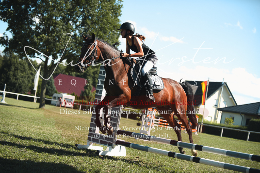 DSC_7455 | Pferde- und Turnierfotografie in Westsachsen. Pferdeportraits, Auftragszeichnungen und intuitive Kunst.