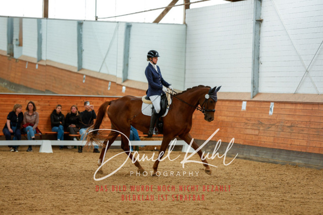 _62_5571 | Turniersportfotografie; Pferdefotografie; Dressurfotografie