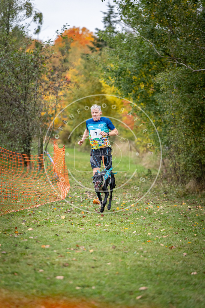 Pfotenfotografie_DV3A1695 | Hundefotografie, Tierfotograf, Pfotenfotografie, Fotoshooting Hund, Hunde Portrait, Hundesport, Hundeportraits, Heideshooting, Hunde, Sportfotograf, Hundefotograf, Turnierhundsport, THS,  - Realisiert mit Pictrs.com