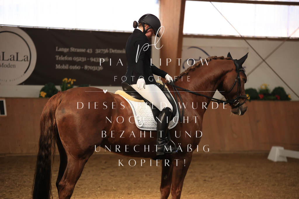 IMGT7832 | pl-fotografie