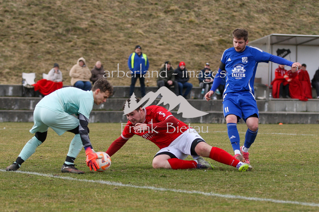 993T5732 | Medien- Sport- Entertainmentfotos