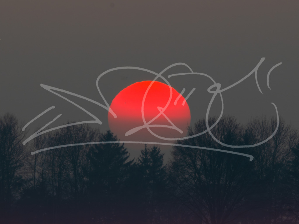 Feuerball Bäume | Naturschönheiten aus Deutschland. Pflanzen und Tiere, Insekten und Naturschauspiele. Alle schönen Details, die uns umgeben, fotografiert von Michi Moc.  - Realisiert mit Pictrs.com