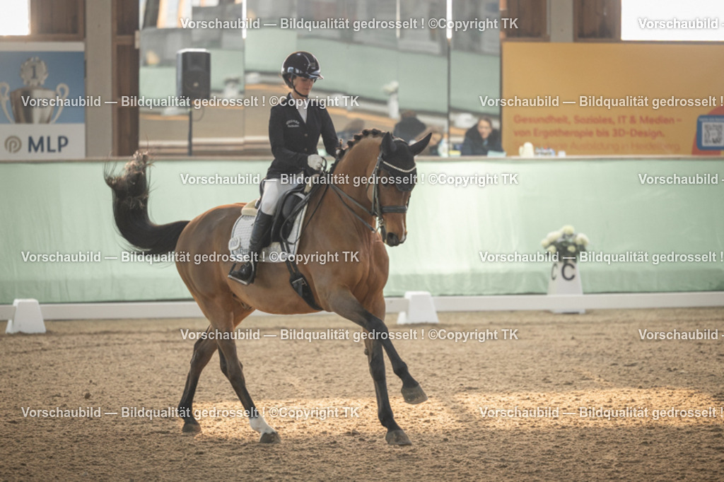 _D5A3884 | Emotionale Pferde- & People-Fotografie rund um Heidelberg, Leimen & Umgebung. Natürliche Fotos von Pferd, Mensch & Familie. Jetzt Termin sichern!