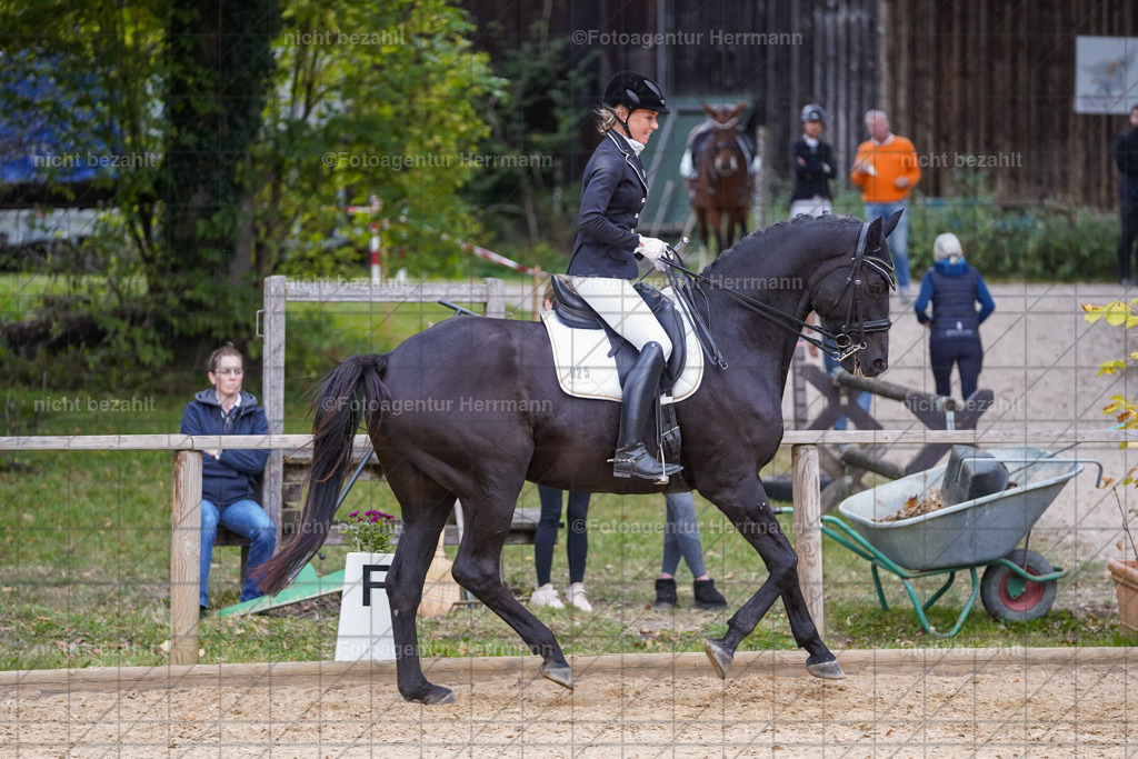 20231007-SN_00908 | Professionelle Turnier- und Reitsportfotografie - mit dem Finger am Auslöser. Pferdebilder aus dem Reitsport von den Turnierfotografen  Bayern , Pferdefotograf Bayern, Pferdeshooting Turnierbilder, Hochzeitsfotograf, Eventfotograf, Hochzeitsbilder